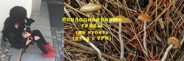 хмурый Заволжск