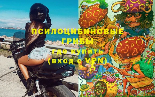 ГАЛЛЮЦИНОГЕННЫЕ ГРИБЫ Заволжье