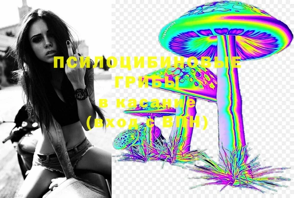 mdma Заводоуковск