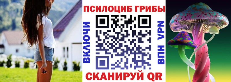 Галлюциногенные грибы Psilocybe  Купить  Усть-Джегута 
