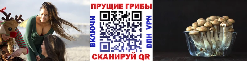 Псилоцибиновые грибы Magic Shrooms Усть-Джегута